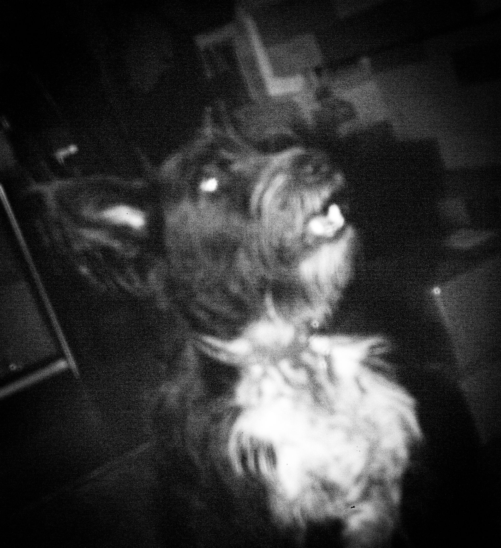 Blurred, grainy, black-and-white photo: A shadowy creature with glowing eyes, possibly a ghost, in a dark space.