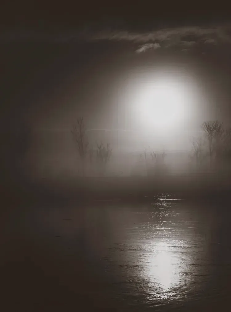 Foggy landscape with bright light reflecting on water. Bare trees in the distance.