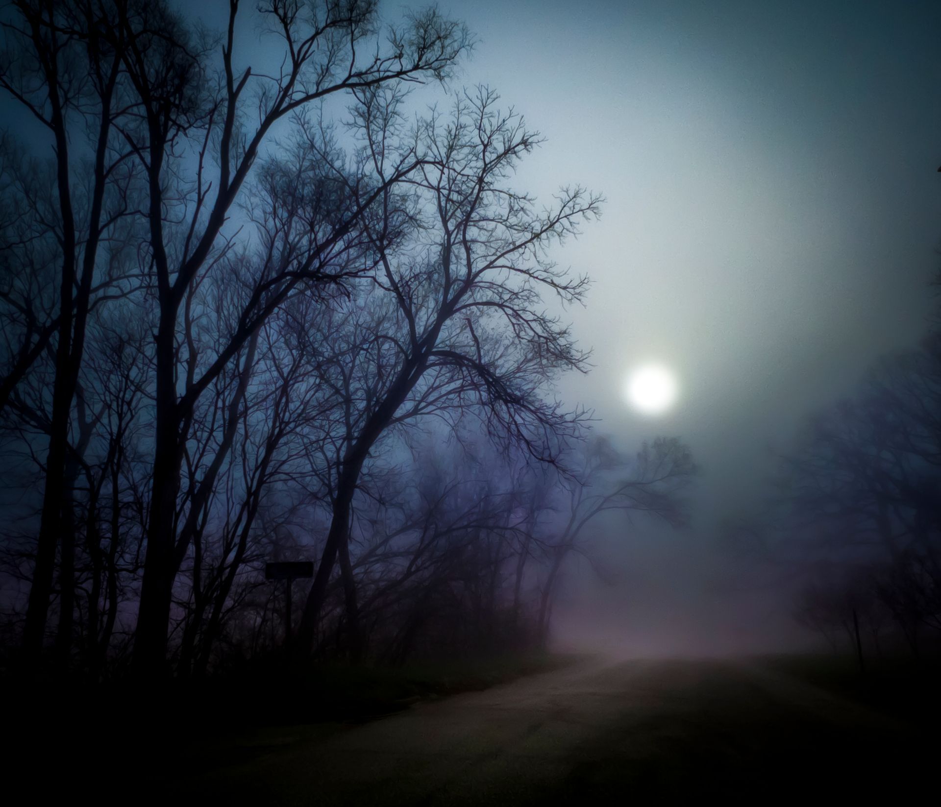 Bare trees line a foggy road at night with a full moon, creating a dark, eerie atmosphere.