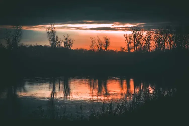 Orange sunset reflecting in calm water with silhouetted trees.