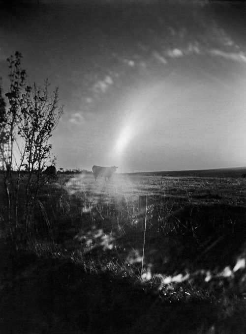 Black and white photograph of a field with a beam of light shining from the sky; trees on the left.