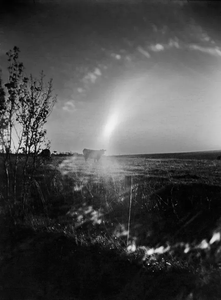 A boat silhouetted by the sun, in a field, tall grass in foreground. Black and white.