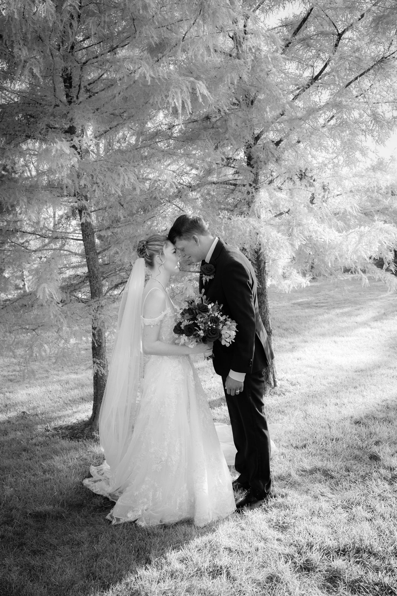 Bride and groom embrace, kissing under a tree. Black and white wedding photo in outdoor setting.