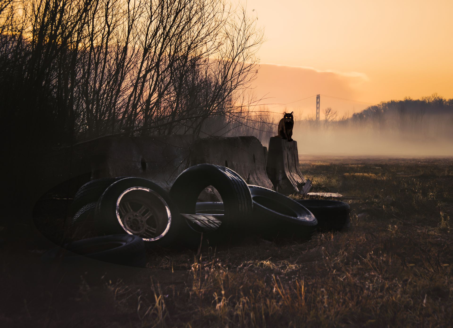 Tires piled in tall grass at dusk; silhouetted figure, factory in distance.