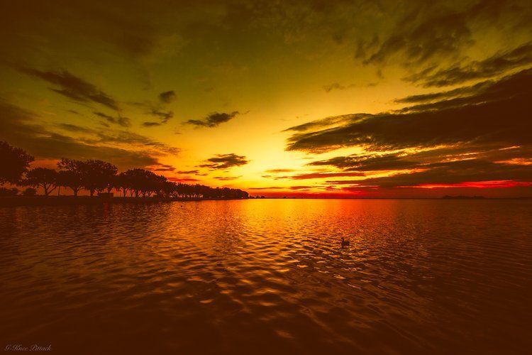 Sunset over water with golden and red hues; trees line the horizon.