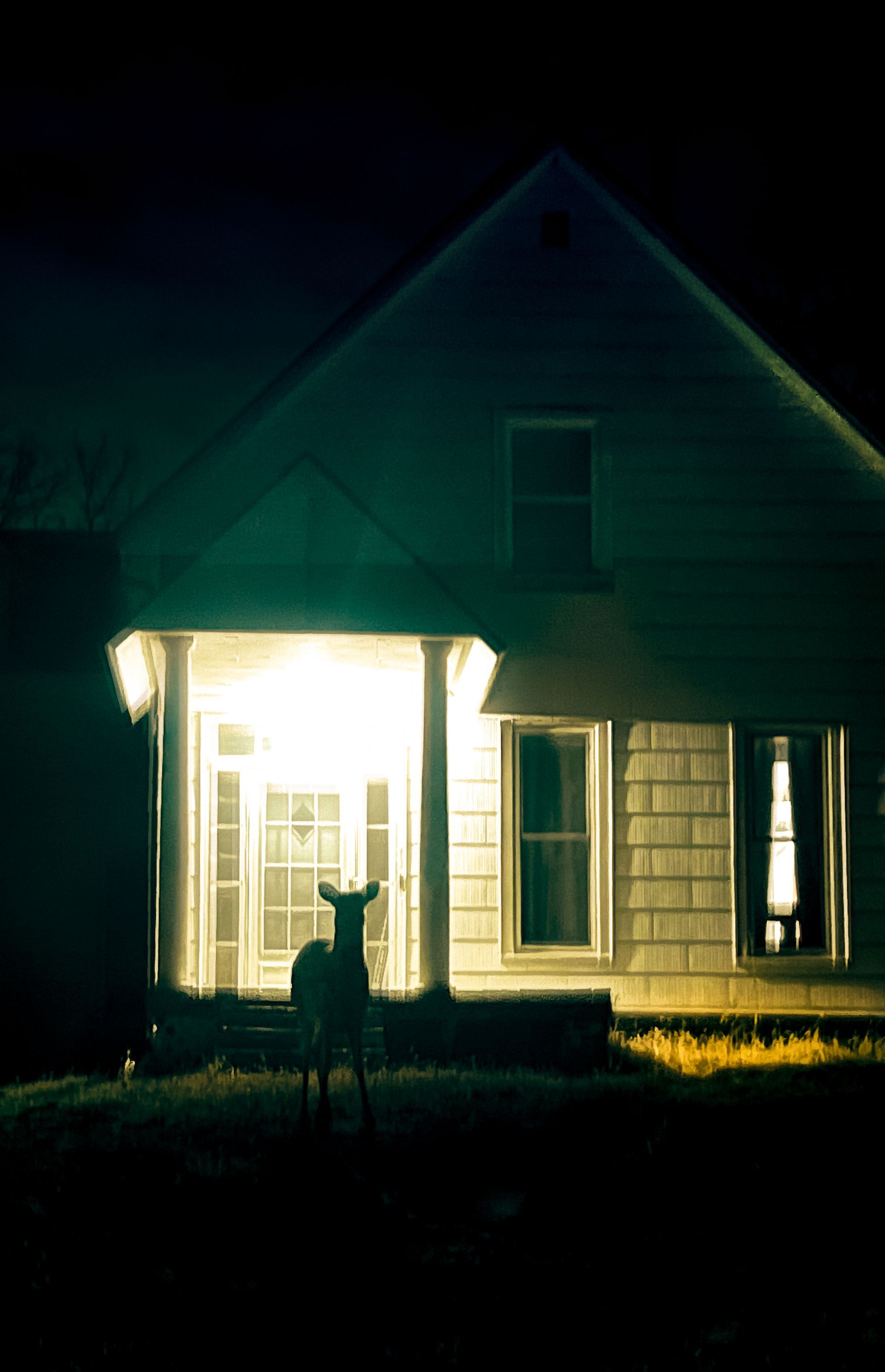 Deer stands in front of a house at night, porch light glowing, dark green/yellow tones.