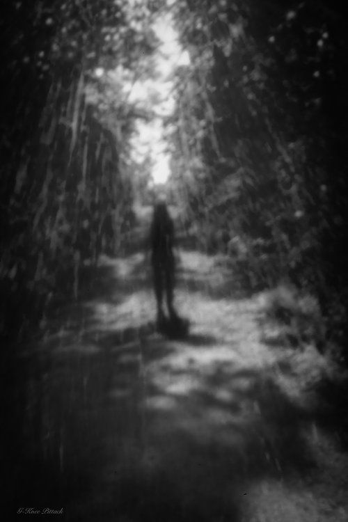 Blurred black and white photo of a person standing in a path within a sunlit forest.