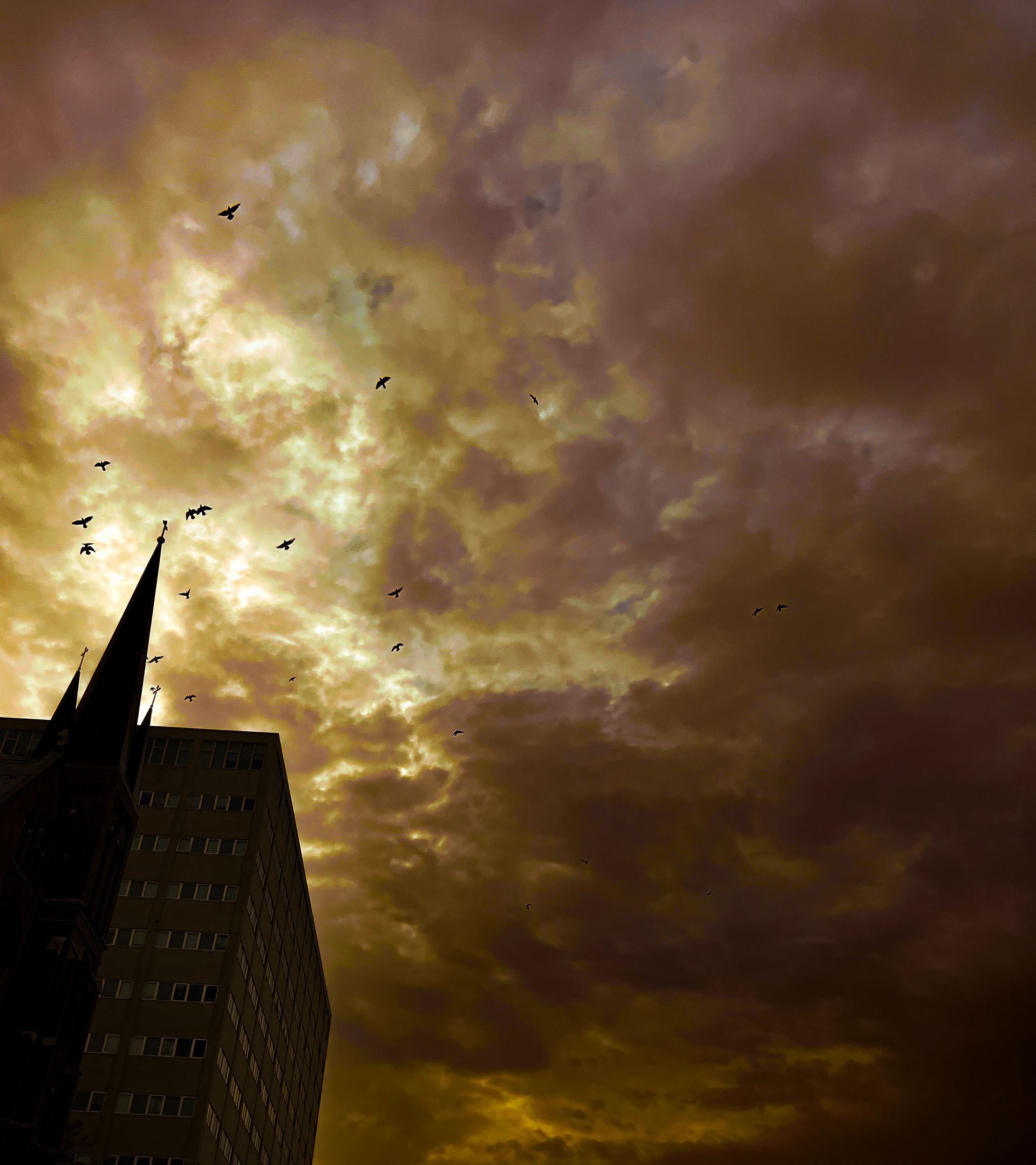Dark, cloudy sky with a tall building silhouetted against the light, birds in flight.