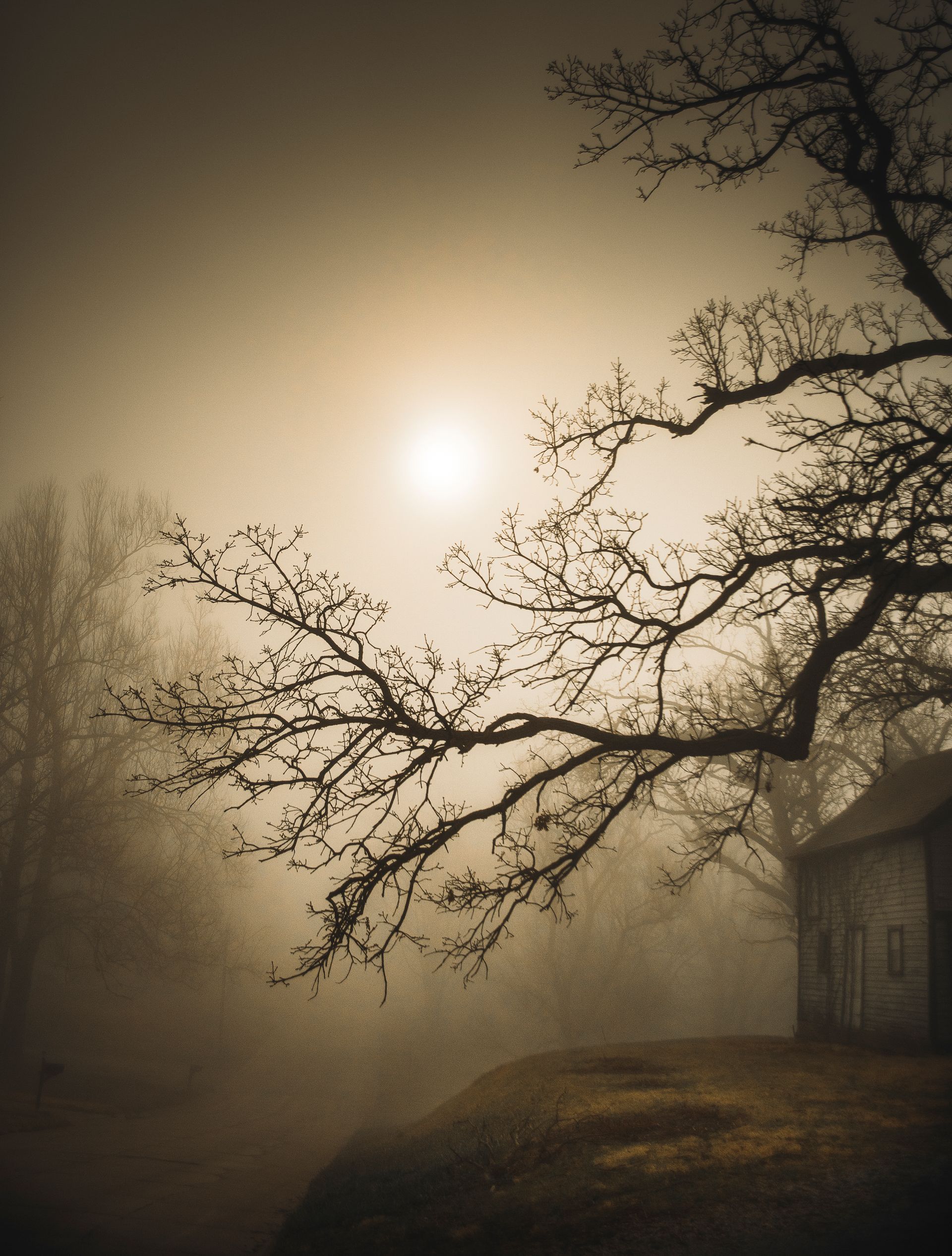 A hazy, sepia-toned landscape with a sun obscured by fog. Bare trees frame a weathered building.
