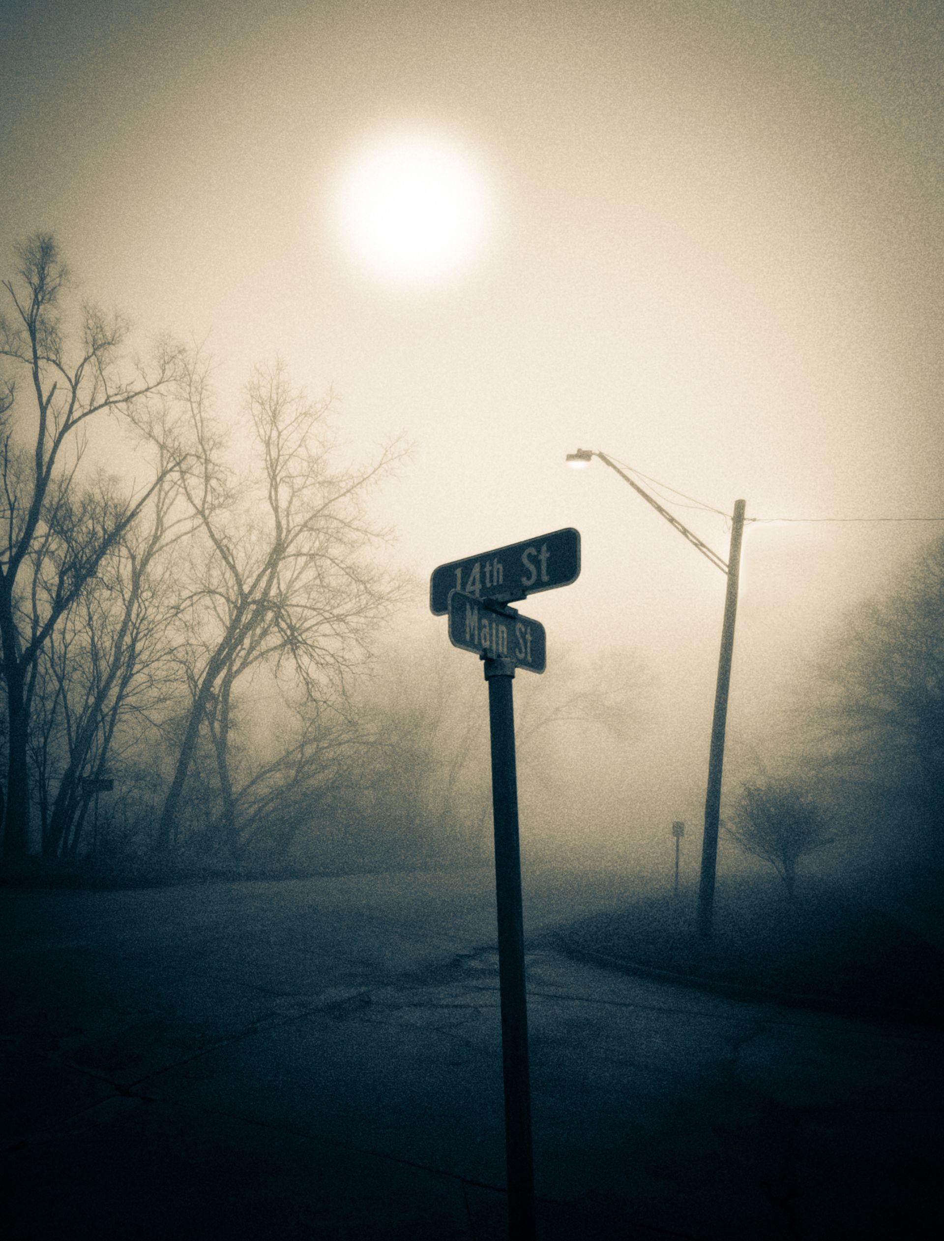 Foggy street corner with a street sign and dim light, trees in the background.