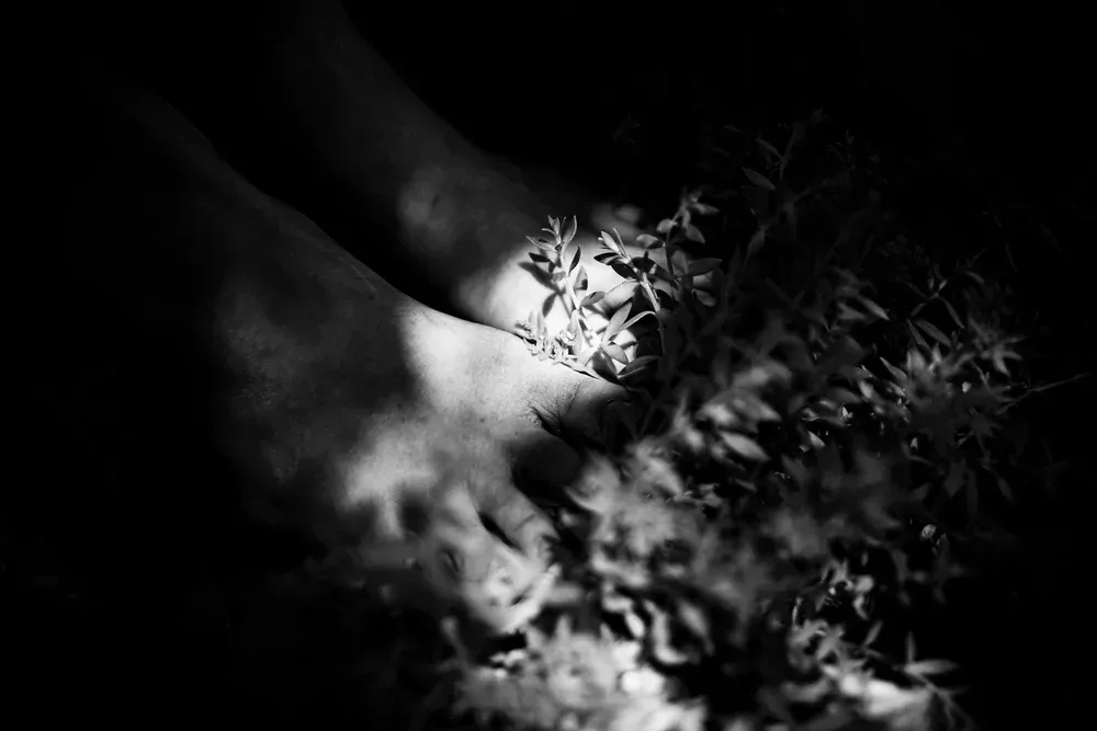 Bare feet holding small flowers; in shadows and bright light.