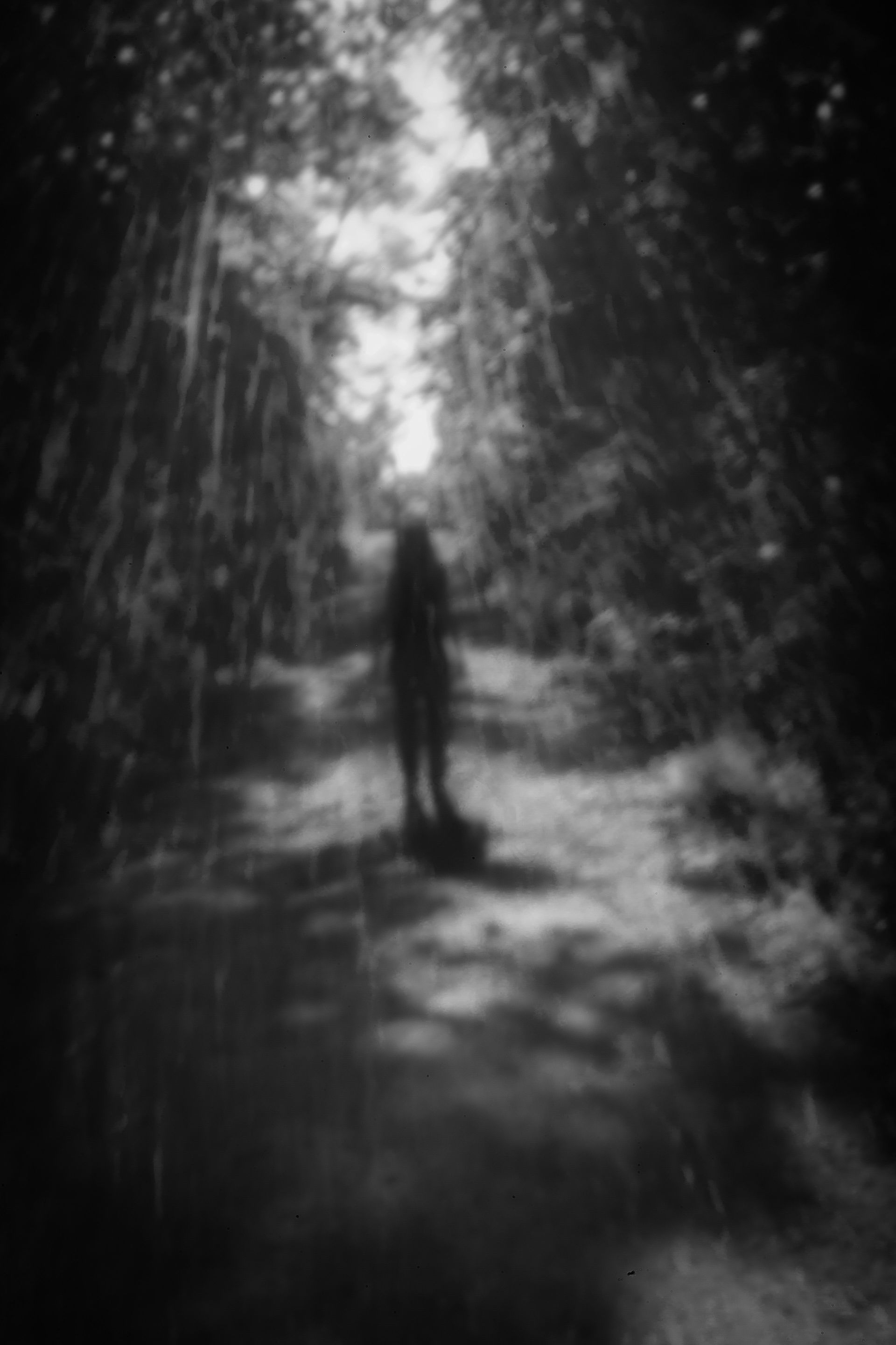 Blurred black and white photo of a figure standing on a path in a forest, looking towards light.