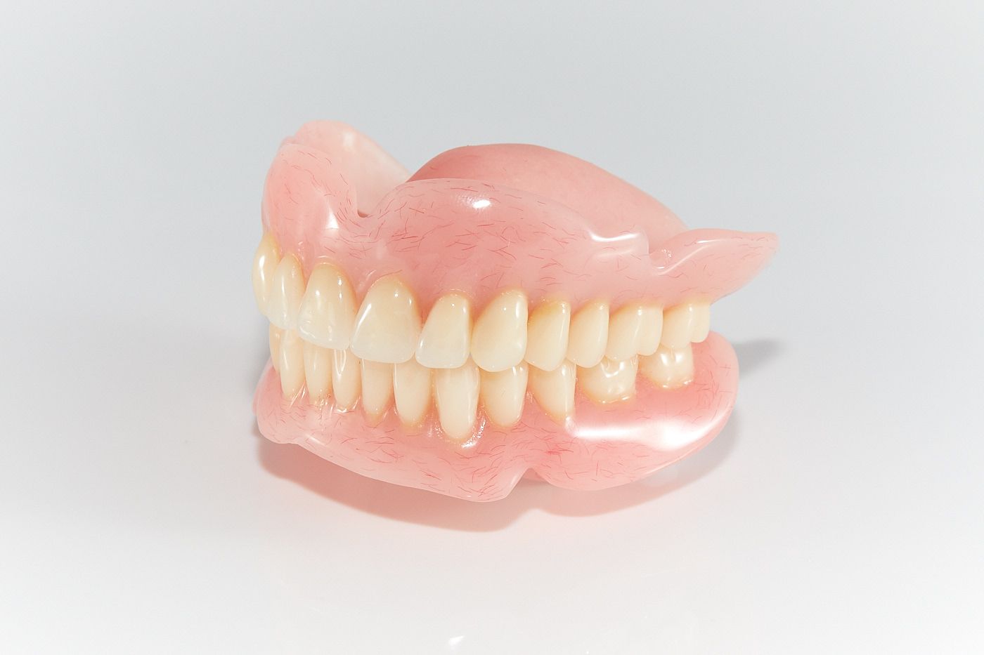 A Expert Person Holding A Full Model Of Teeth  — Bromley's Denture Clinic in Tweed Heads South, NSW
