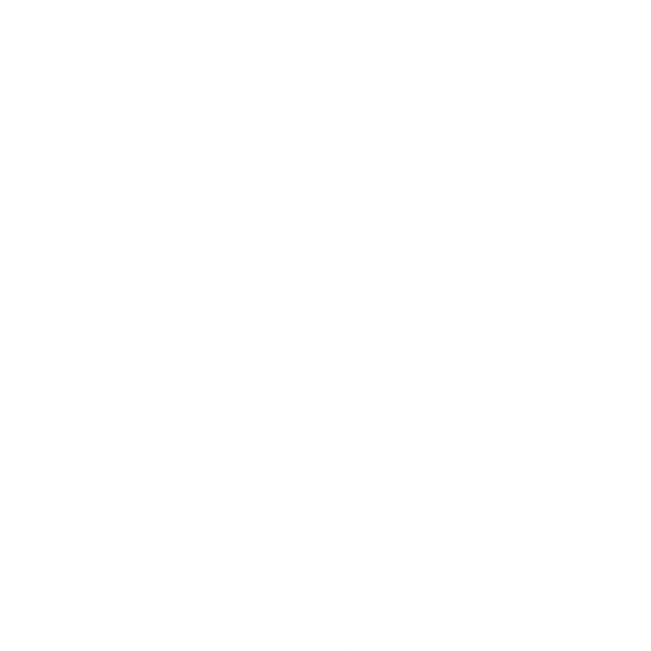 TopBinz logo in white with stars, topbinz text and est. 2026 text