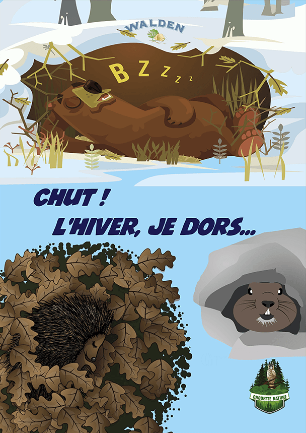 chut l'hiver je dors