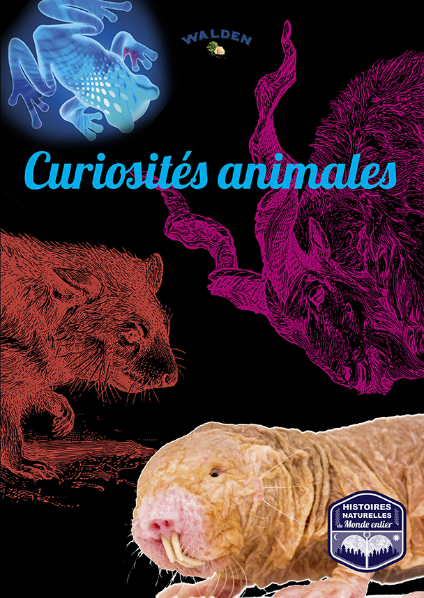 curiosités animales