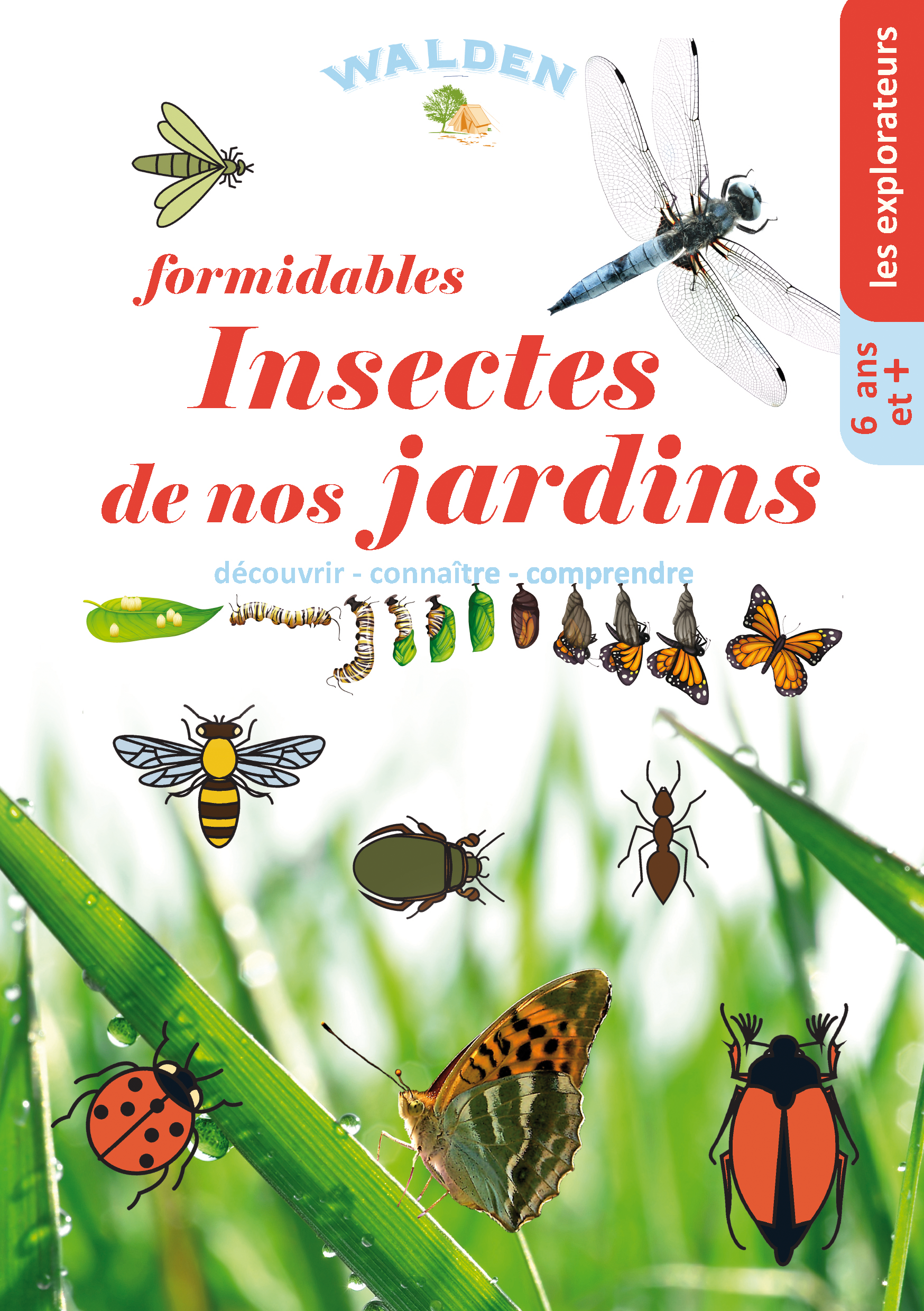 insectes de nos jardins cover