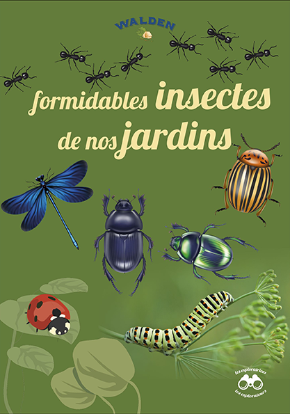 formidables insectes