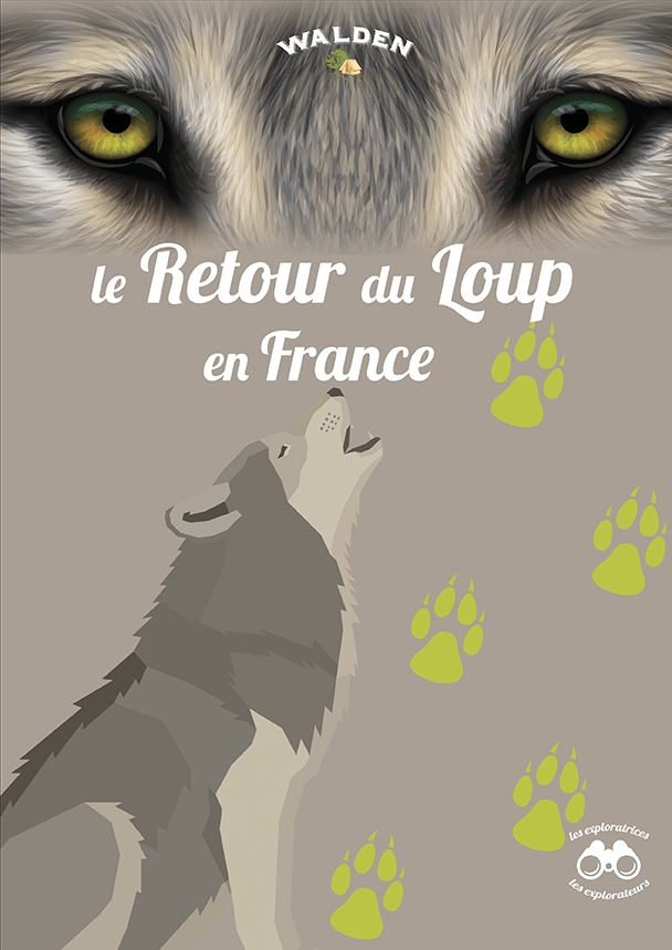 le loup en france