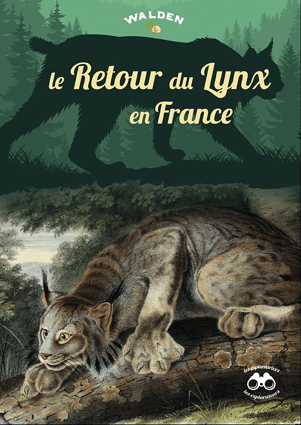 le retour du lynx en france