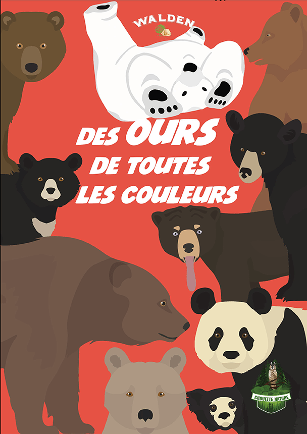 des ours de toutes les couleurs