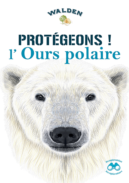 protégeons l'ours polaire