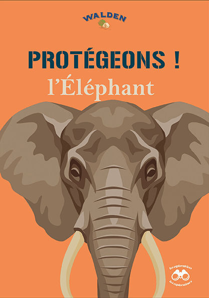 protégeons les éléphants