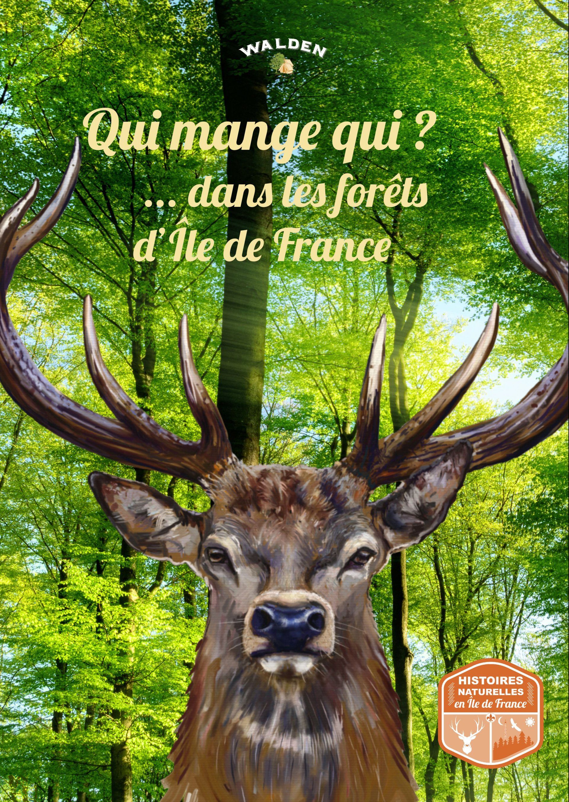 forets d'iles de france