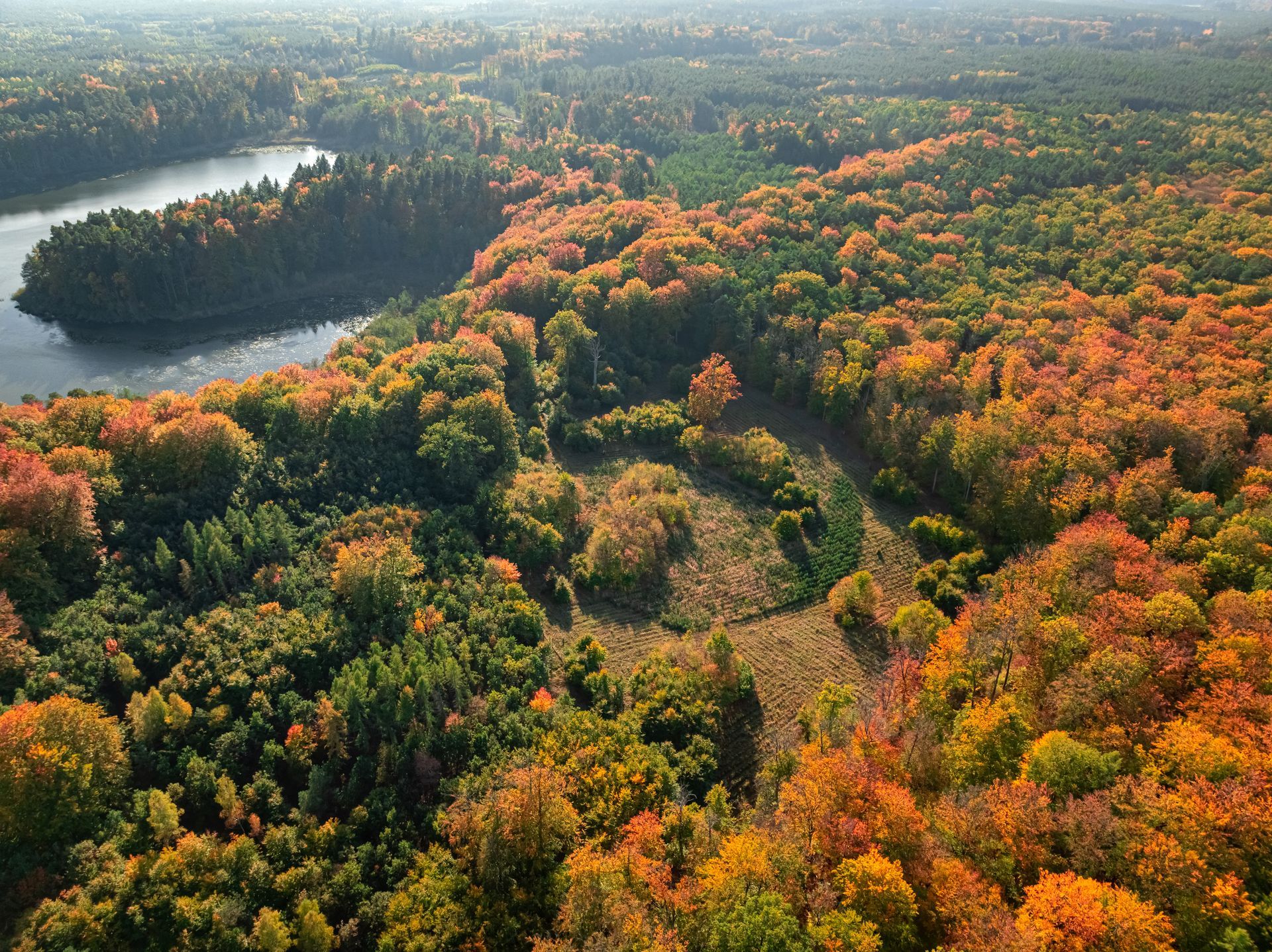 A man is sitting at a desk using a laptop computer.