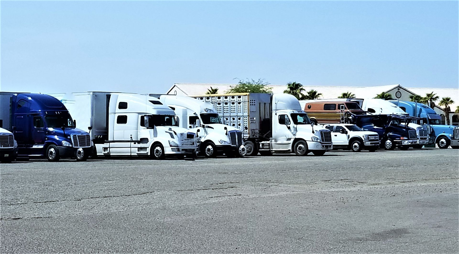 Semi-trucks parked in a gravel lot on a sunny day. White and blue cabs. Buildings in background.