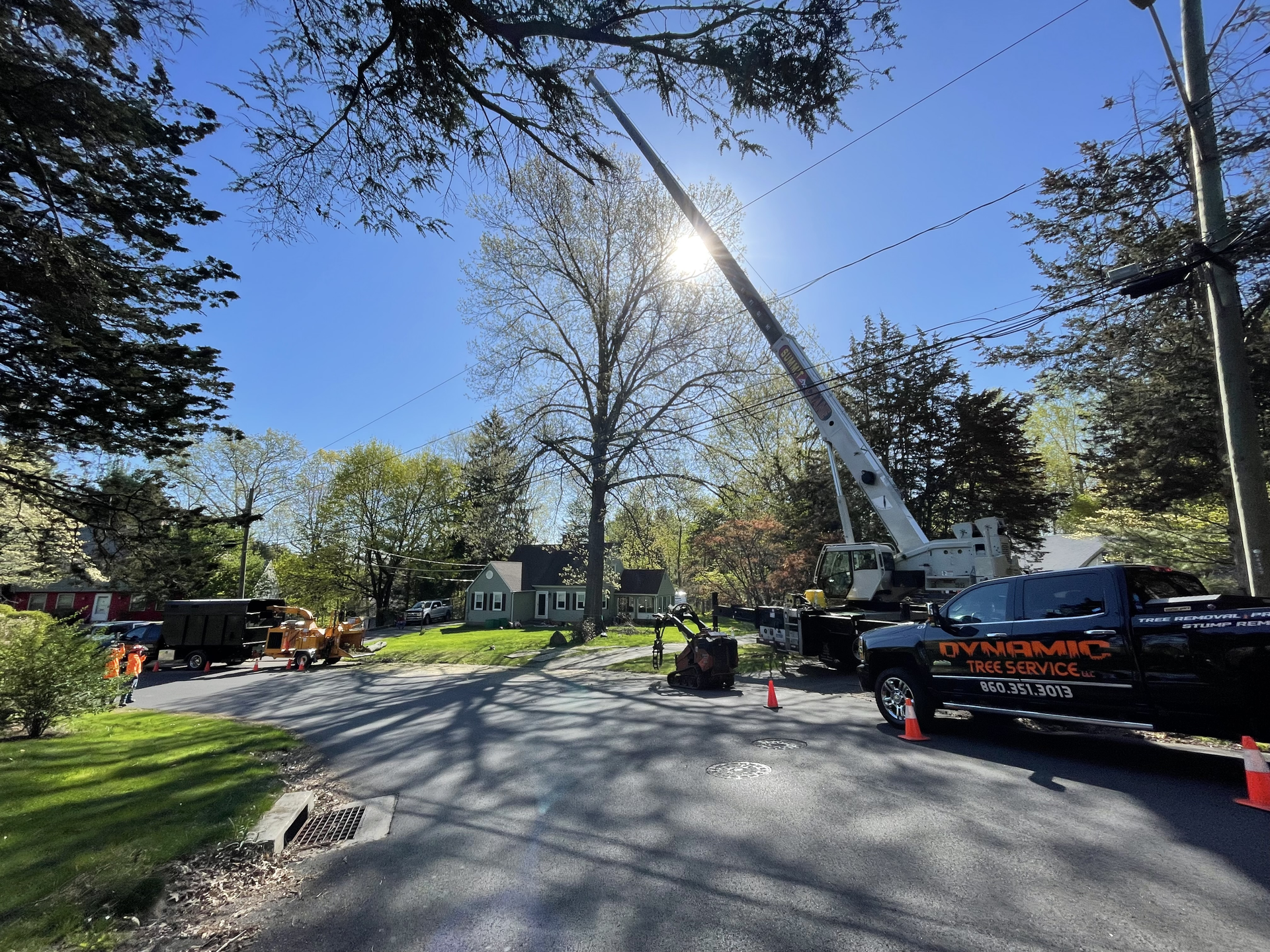 Tree removal on a residential street; crane reaches tree, truck, chipper, and cones.