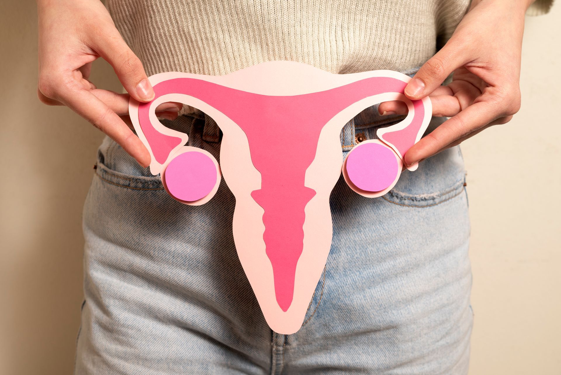 front view woman holding reproductive system cutout