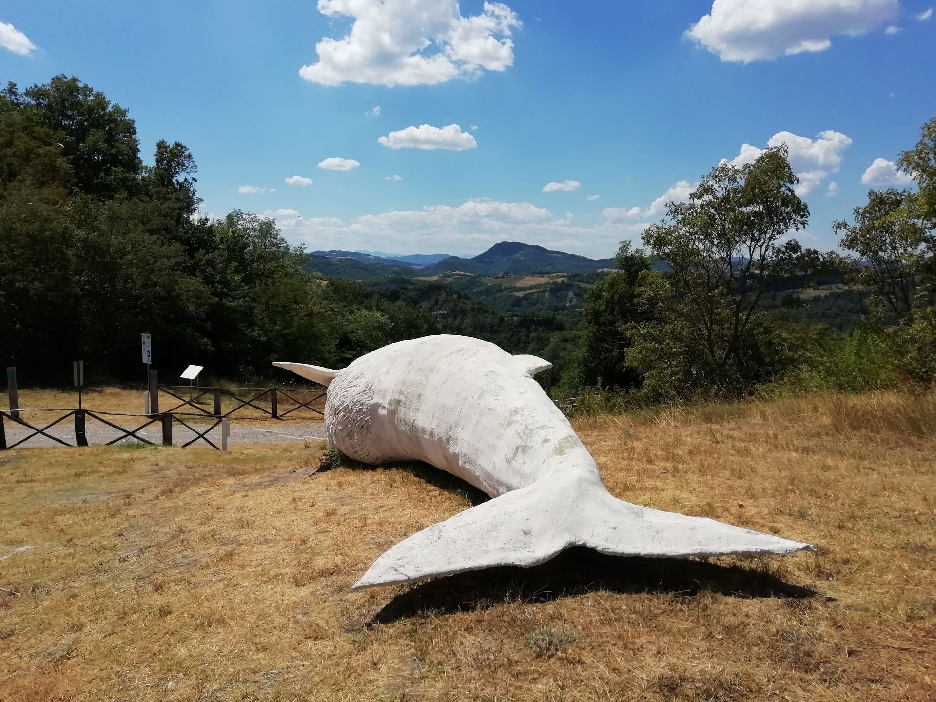 Monumento Balena della Val di Zena