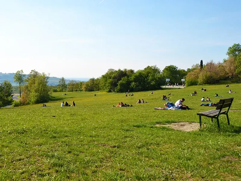 Parco di Monte Paderno