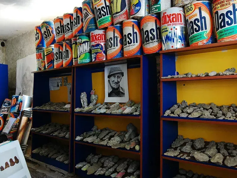 Museo dei Botroidi