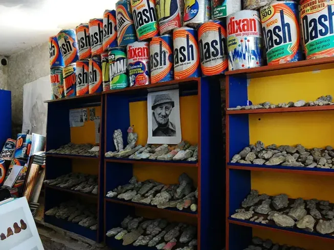 Museo dei Botroidi