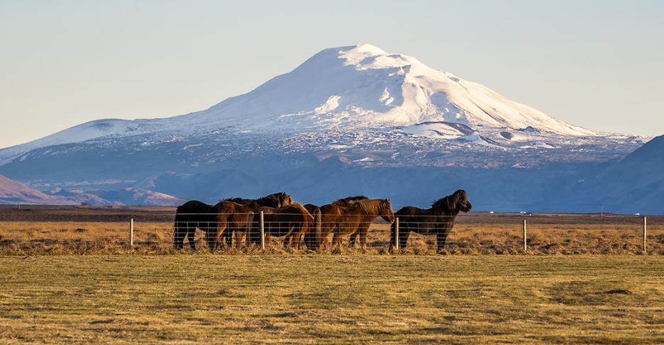 A house in the middle of a field at sunset.