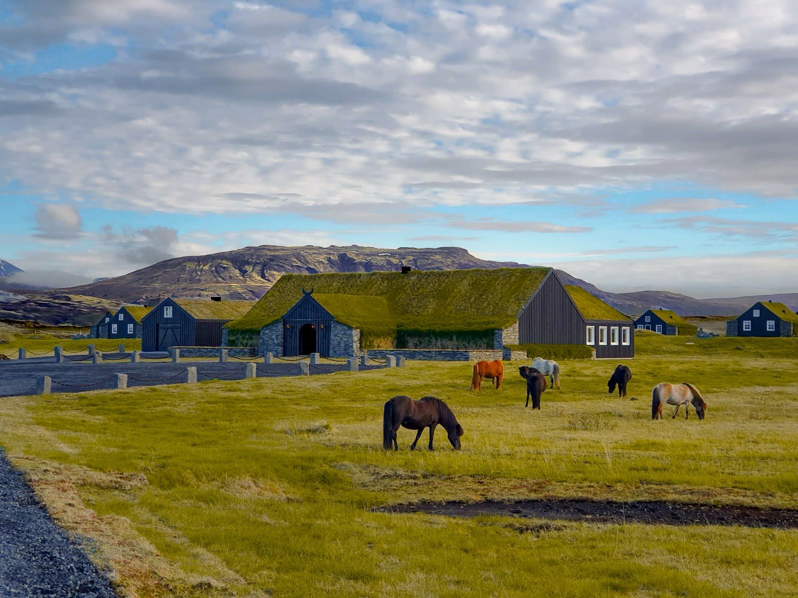 A group of horses grazing in a field in front of a house with a green roof.