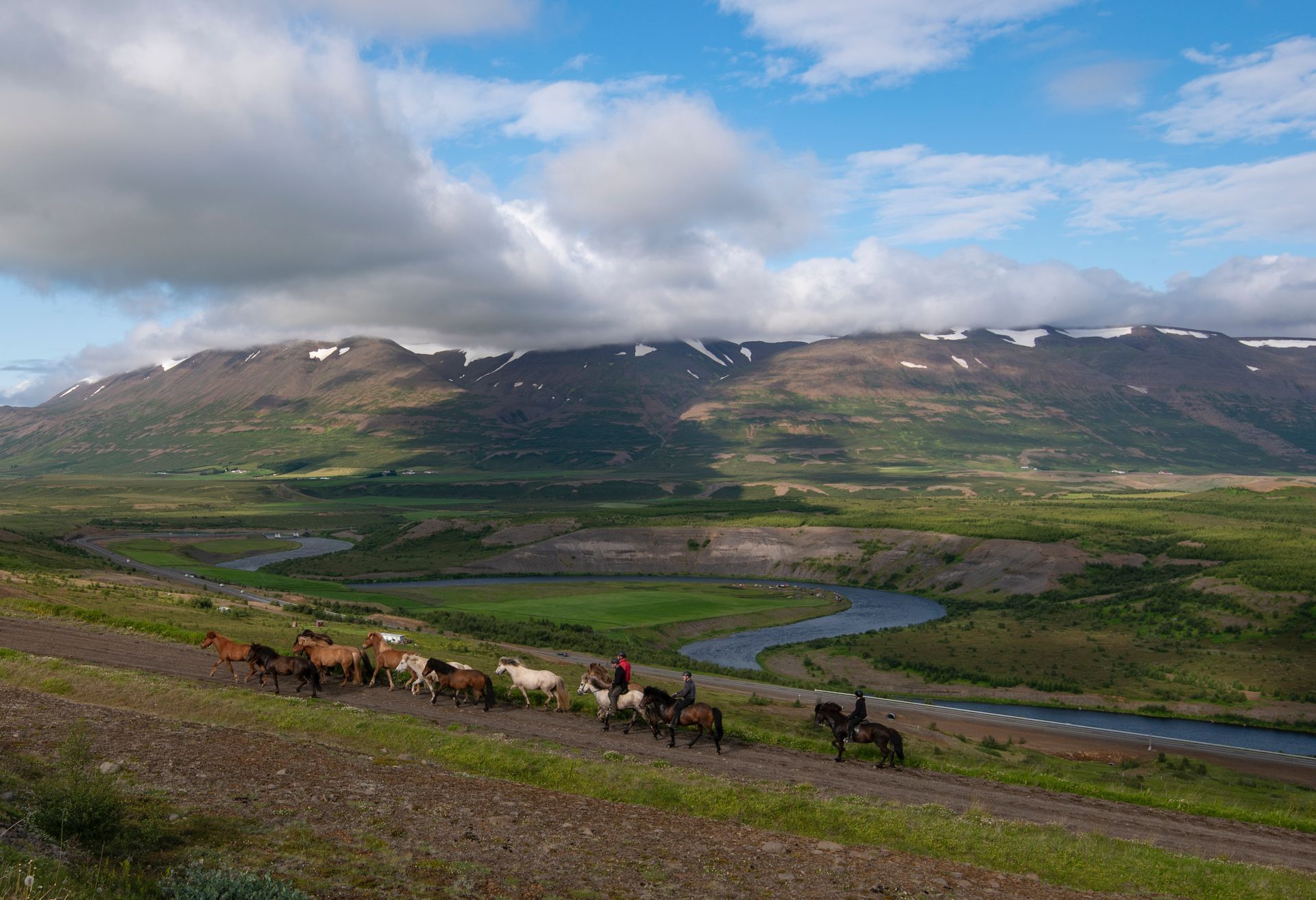 A herd of horses walking down a dirt road with mountains in the background.