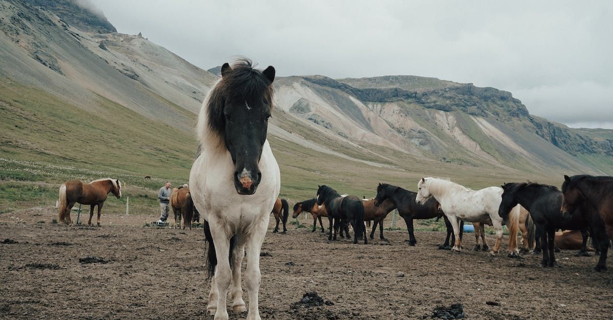 The interior of Turf houses in Iceland and lifestyle of viking settlers