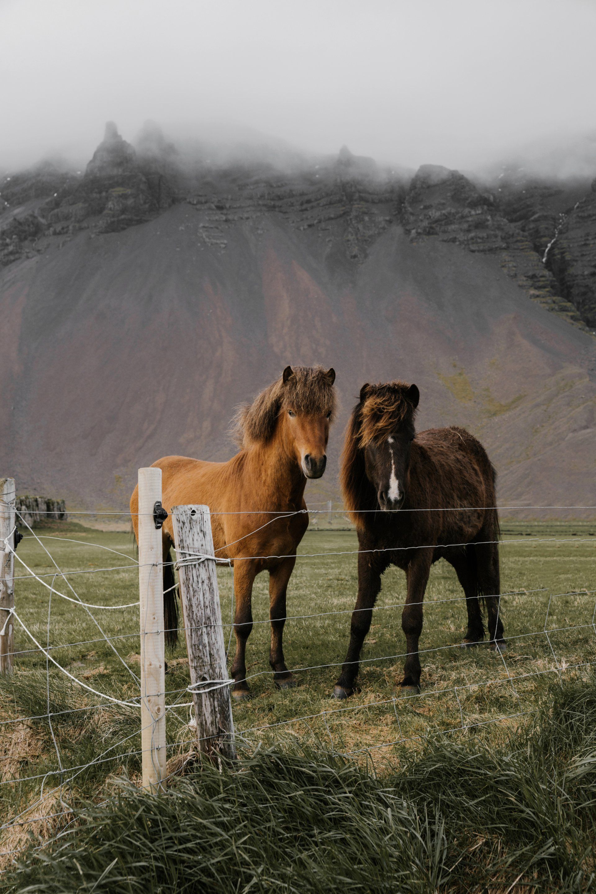 two horses in Iceland are standing next to each other in a field behind a fence