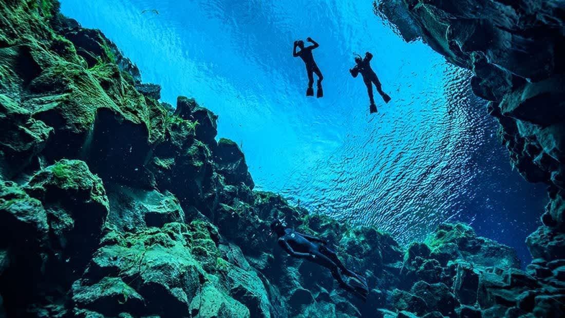 Three scuba divers are swimming in a cave in the ocean.