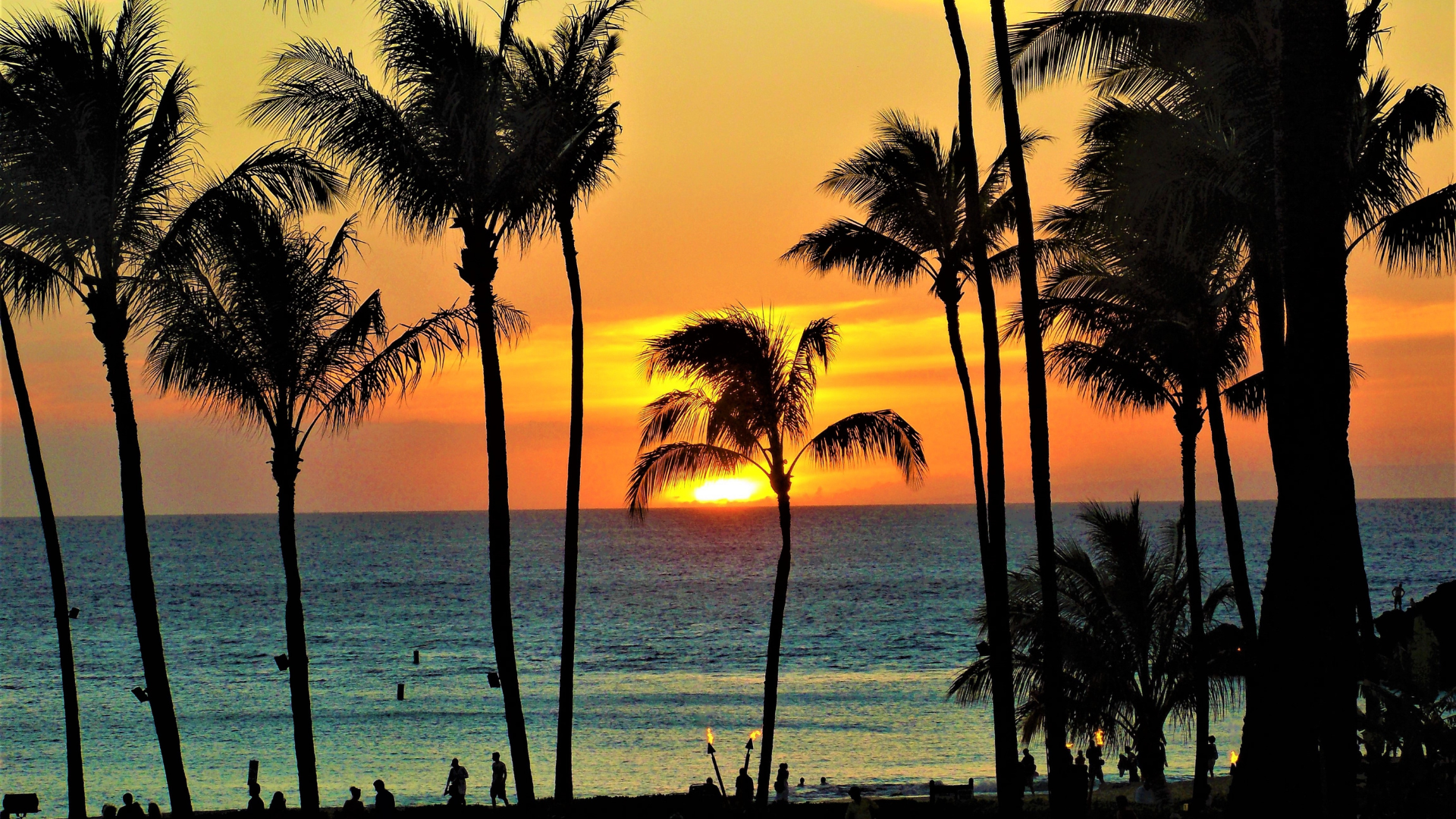 A sunset over the ocean with palm trees in the foreground