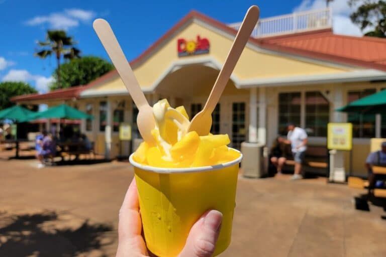 A person is holding a cup of pineapple ice cream