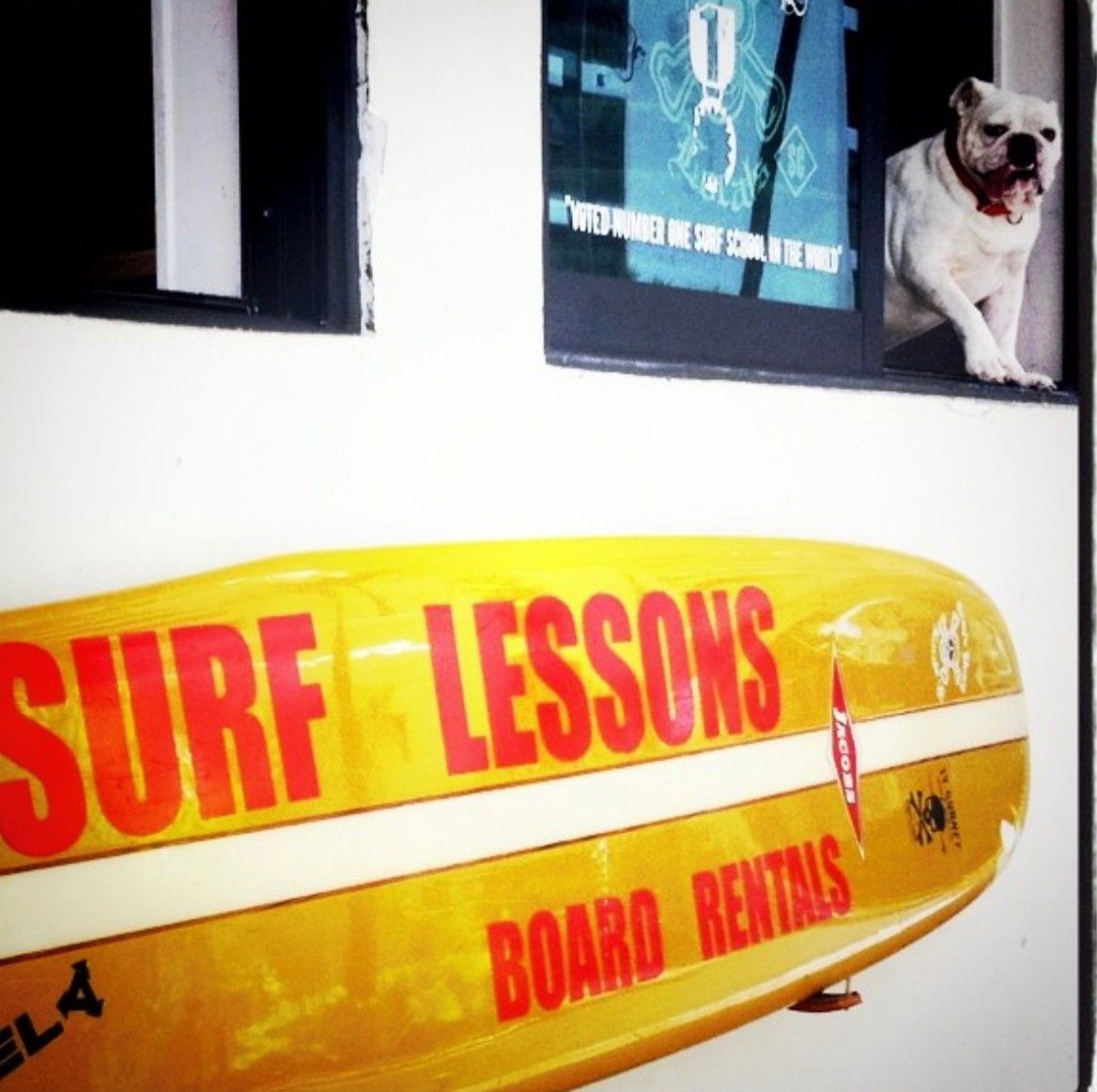 A yellow surfboard that says surf lessons board rentals