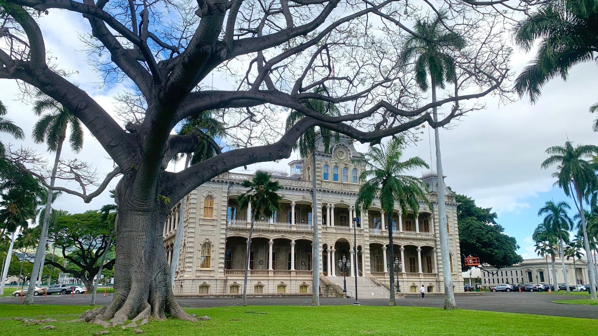 A large tree is in front of a large building.