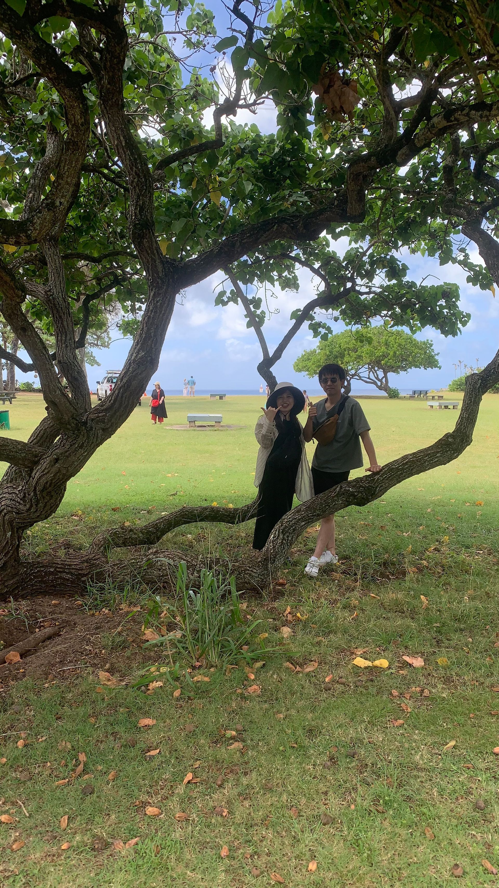 Two people on a large tree branch in a grassy park, with a distant ocean view under a cloudy sky.
