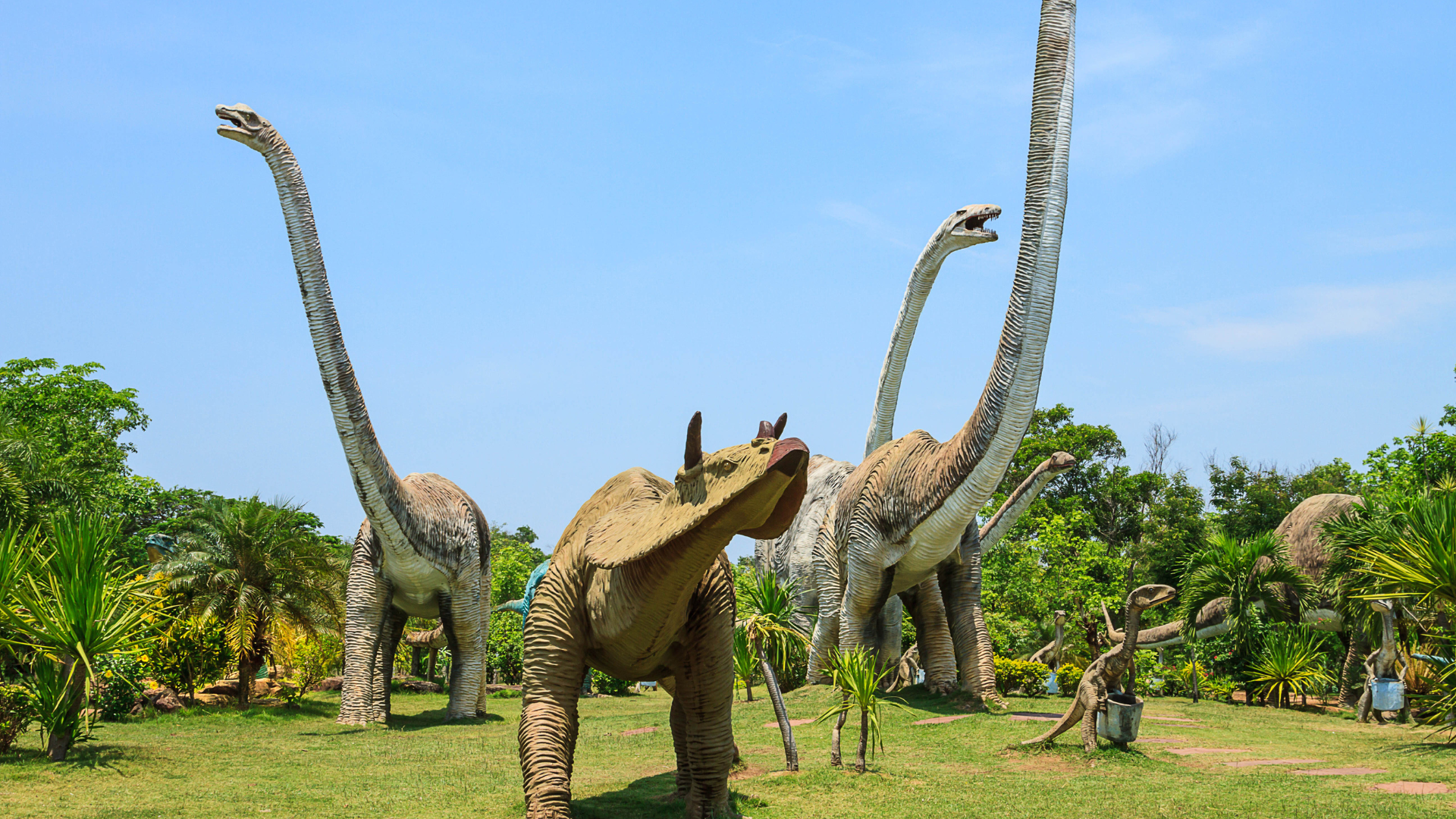 A group of dinosaurs are standing in a grassy field.