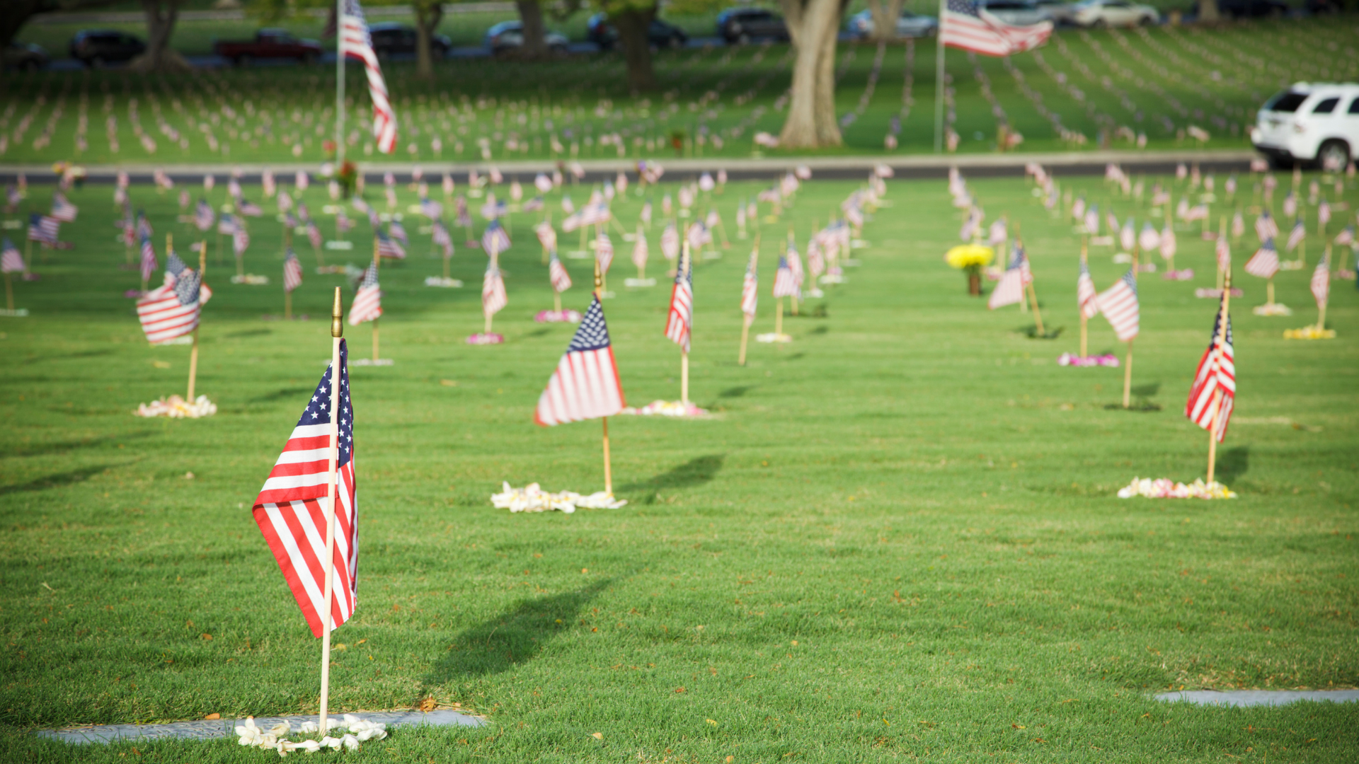 A cemetery filled with lots of small american flags.