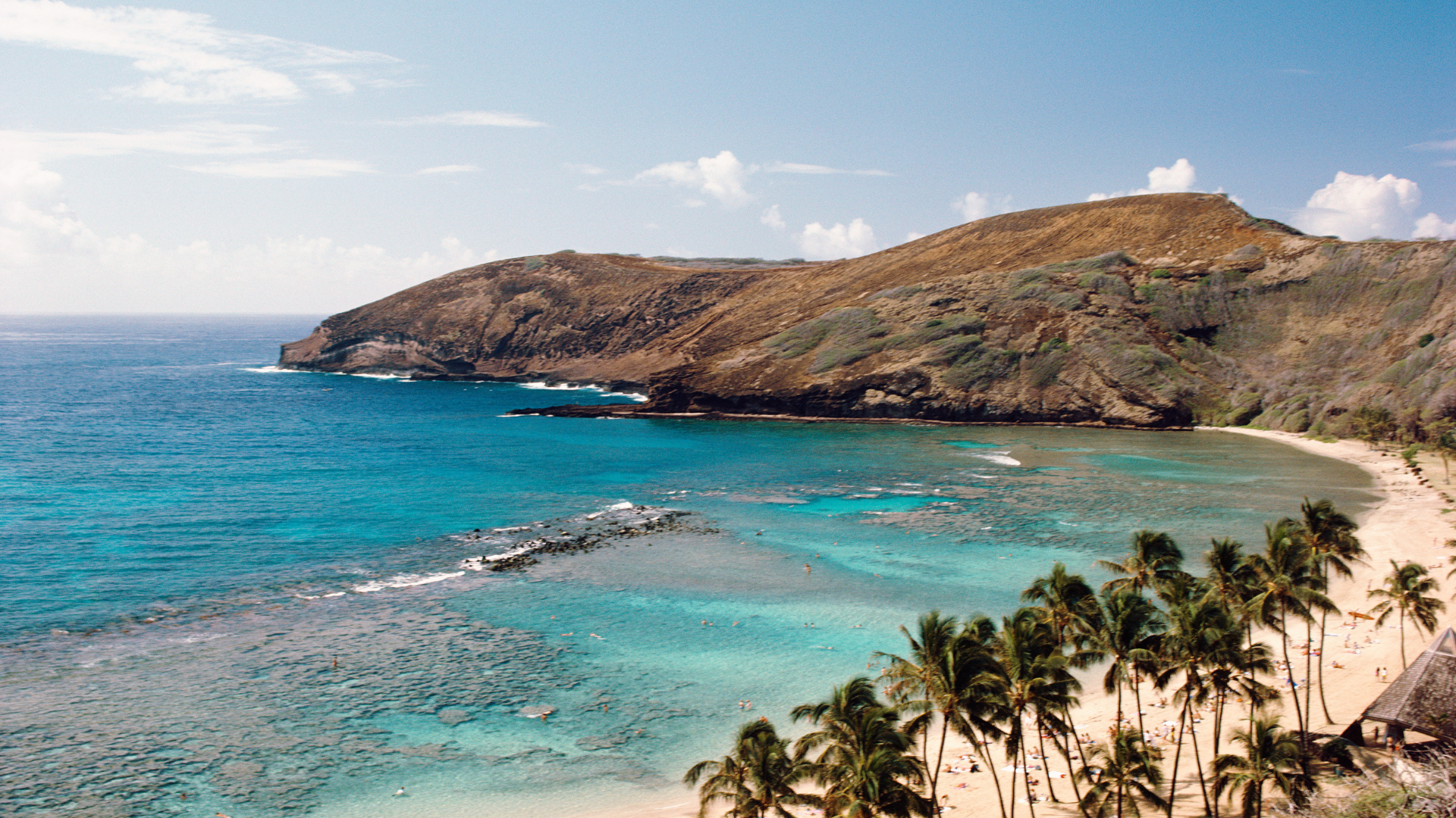 A beach with palm trees and a mountain in the background